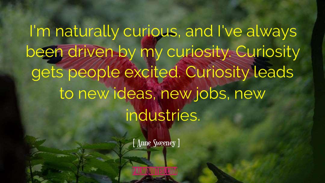 Curiosity Wisdom quotes by Anne Sweeney