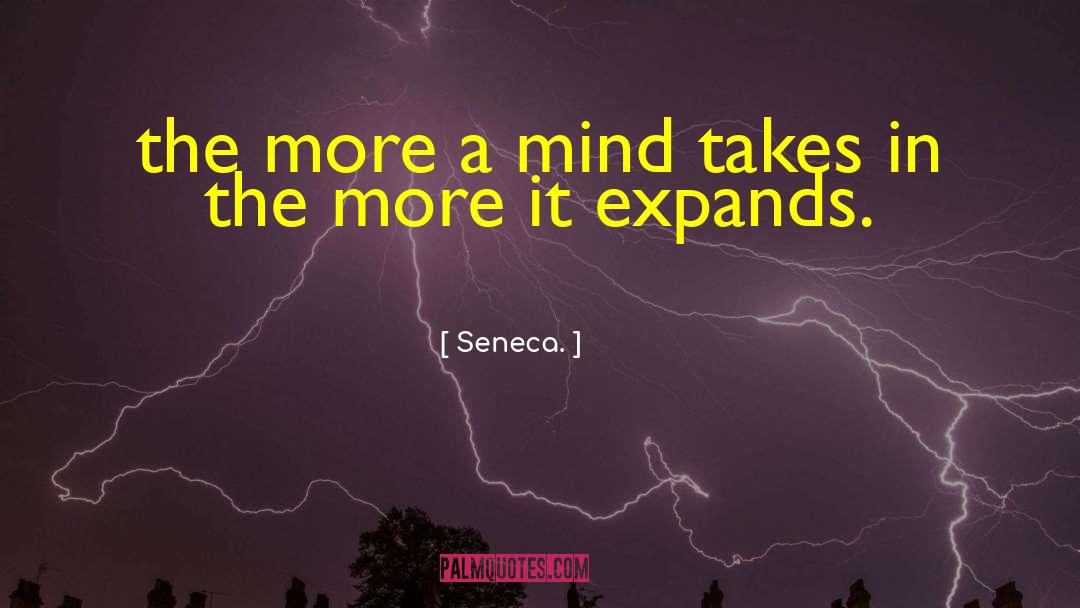 Curious Mind quotes by Seneca.