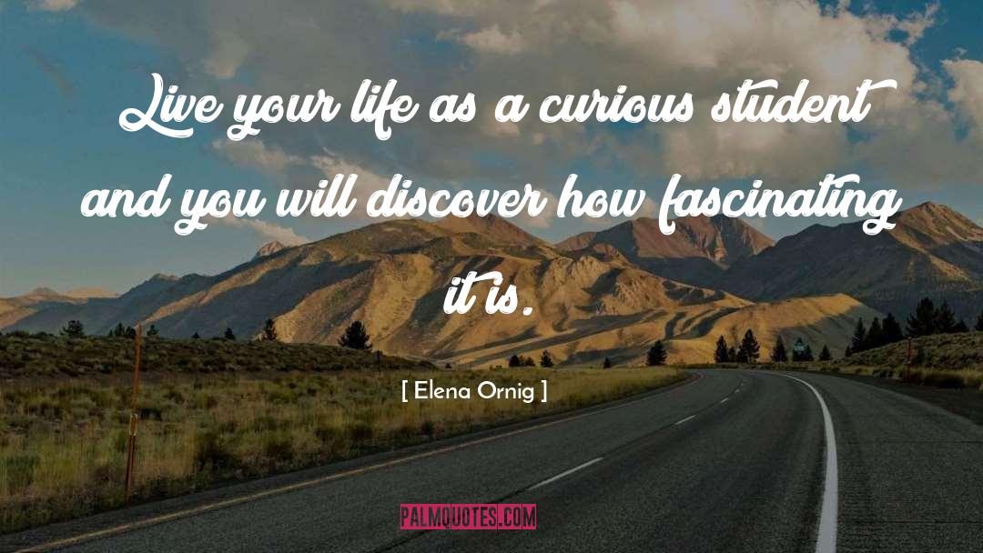 Curious quotes by Elena Ornig