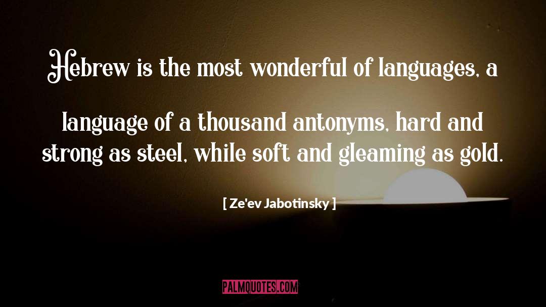 Curmudgeonly Antonyms quotes by Ze'ev Jabotinsky
