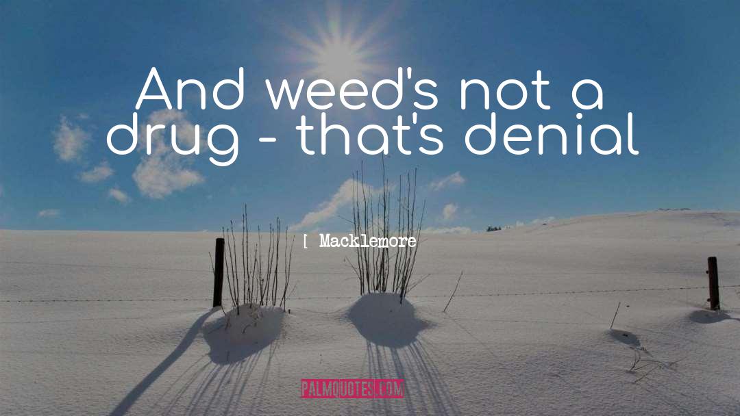 Curren Y Weed quotes by Macklemore