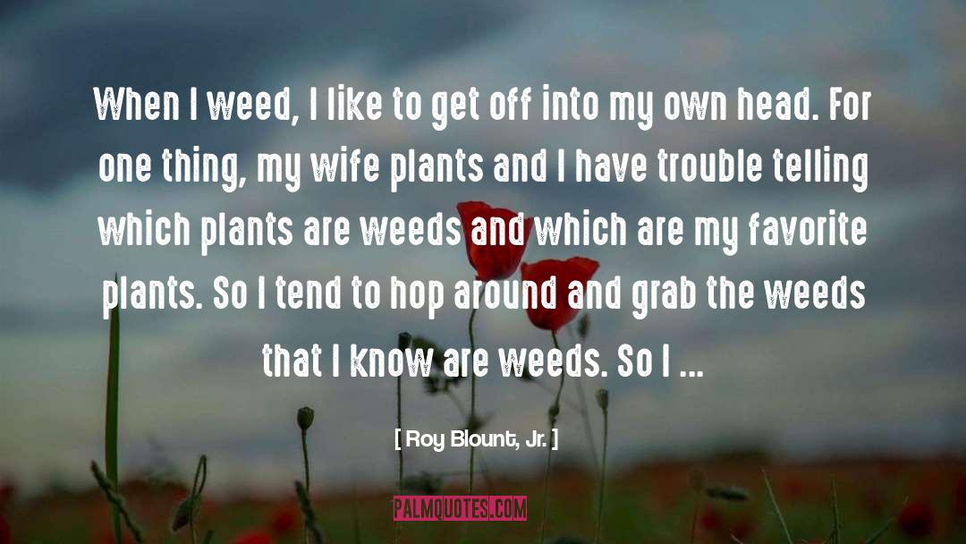 Curren Y Weed quotes by Roy Blount, Jr.