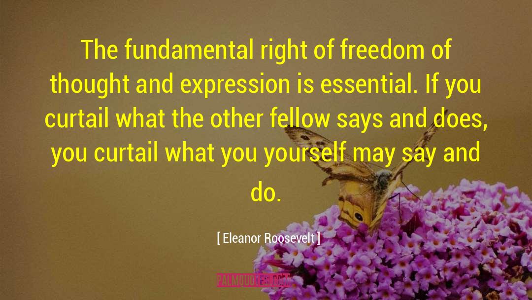 Curtail quotes by Eleanor Roosevelt