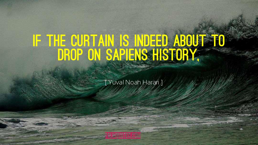 Curtain quotes by Yuval Noah Harari