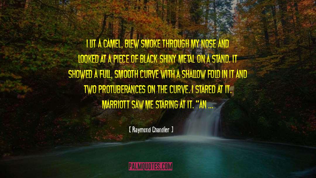 Curve quotes by Raymond Chandler