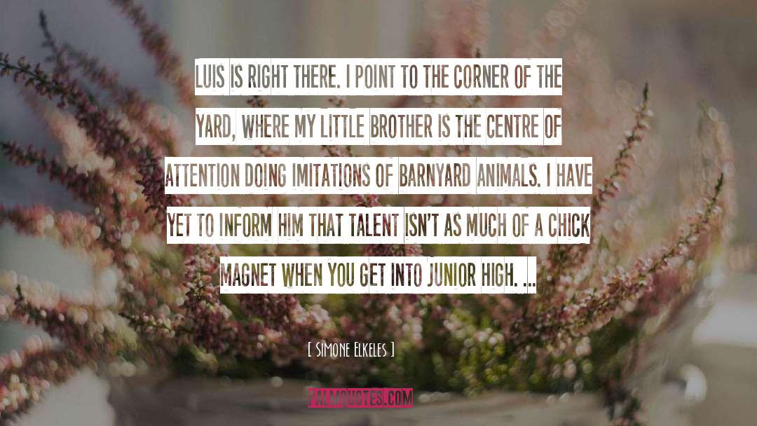 Curvy Chick quotes by Simone Elkeles