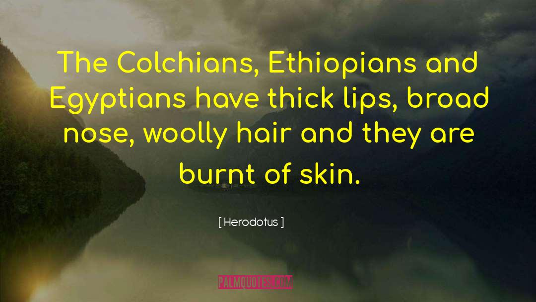 Cushite Ethiopians quotes by Herodotus