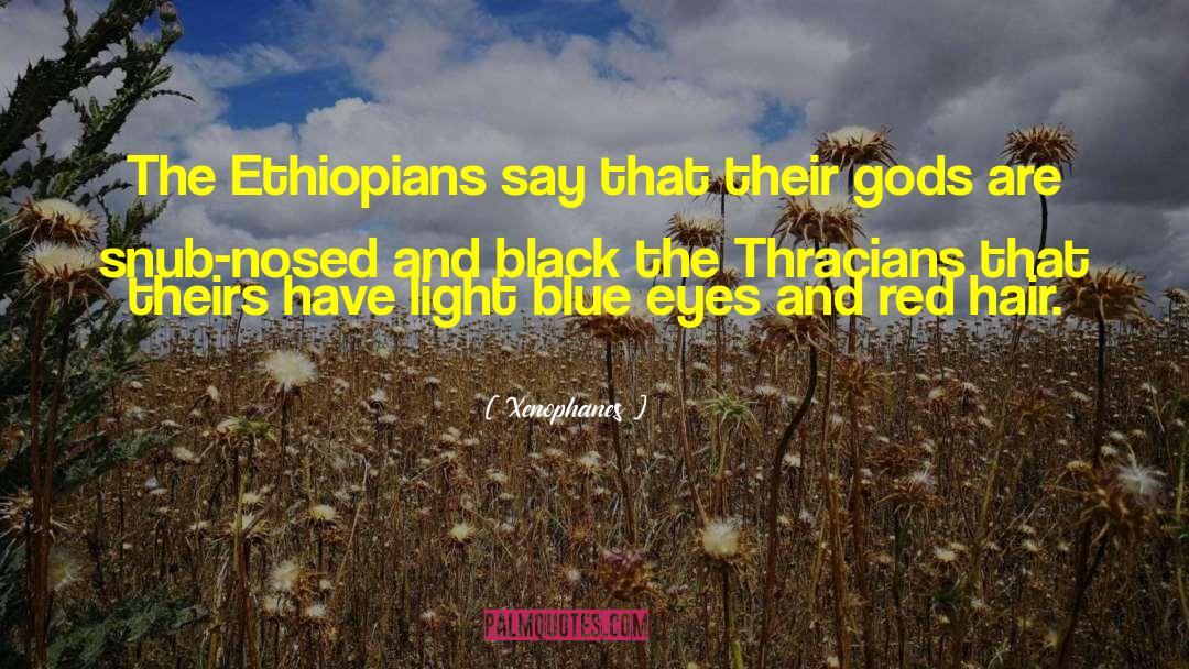 Cushite Ethiopians quotes by Xenophanes