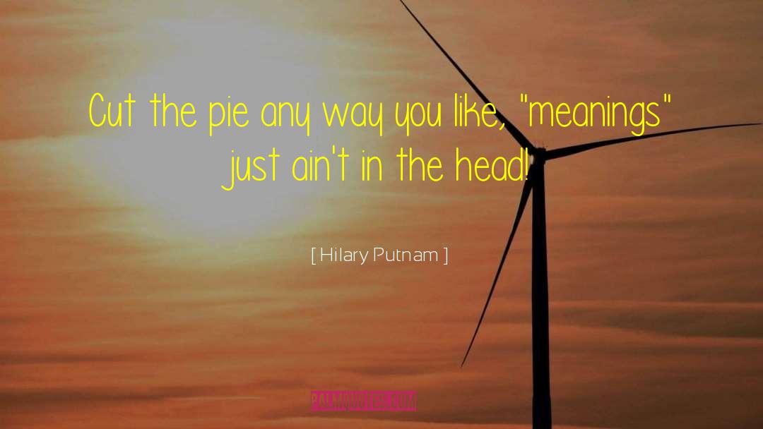 Custard Pie quotes by Hilary Putnam