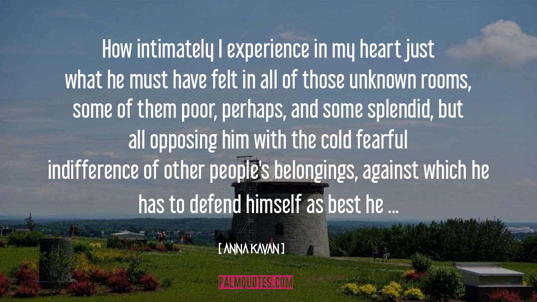Custody Case quotes by Anna Kavan