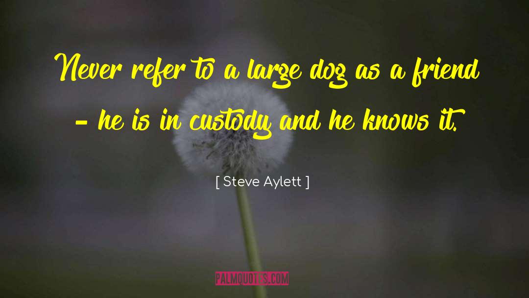 Custody quotes by Steve Aylett