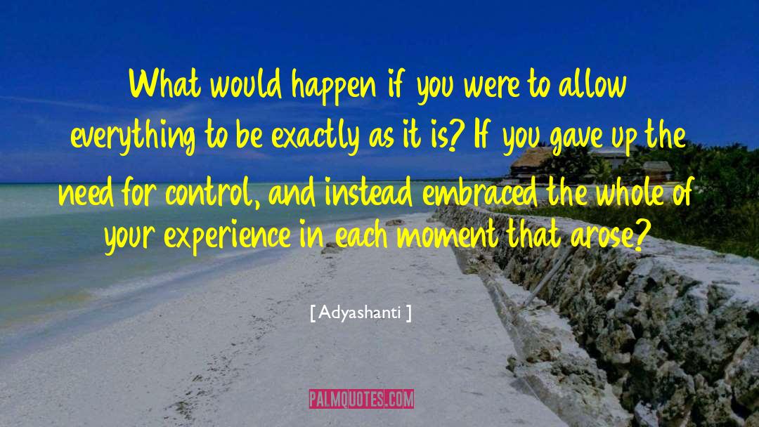 Customer Experience quotes by Adyashanti