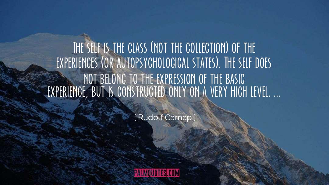 Customer Experience quotes by Rudolf Carnap