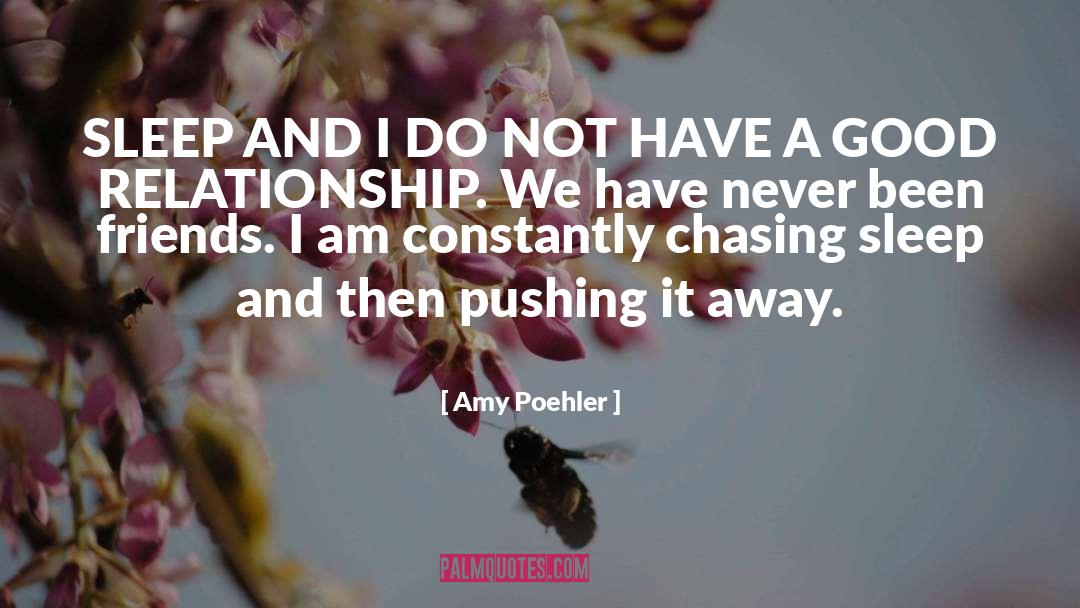 Customer Relationship quotes by Amy Poehler