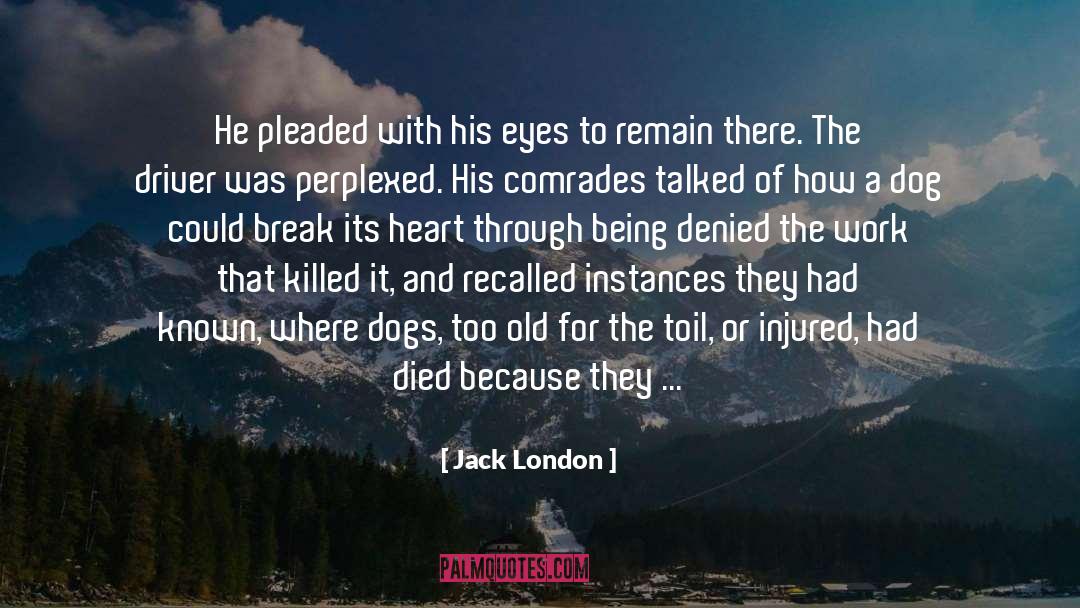 Cut A Movie quotes by Jack London