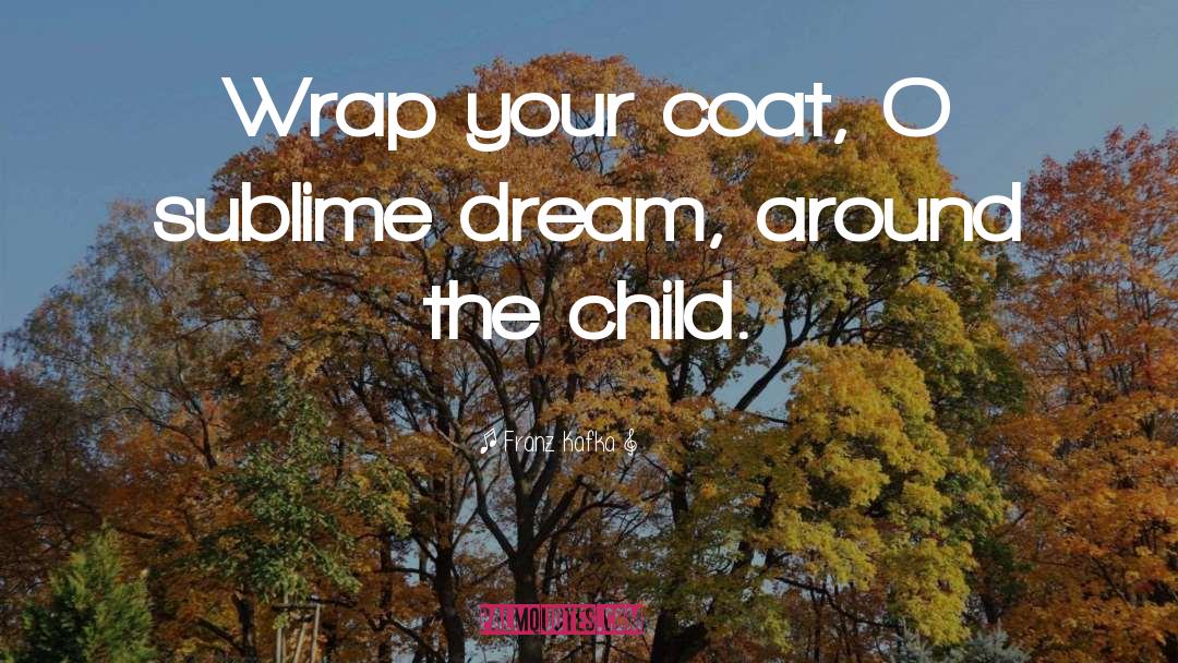 Cut Your Coat quotes by Franz Kafka