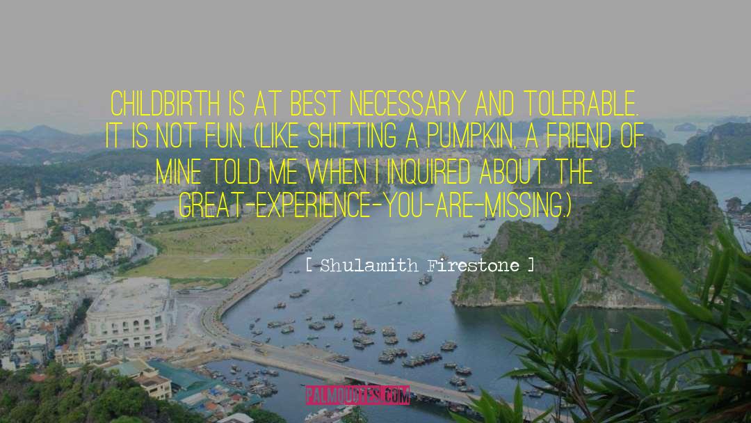 Cute Best Friend quotes by Shulamith Firestone