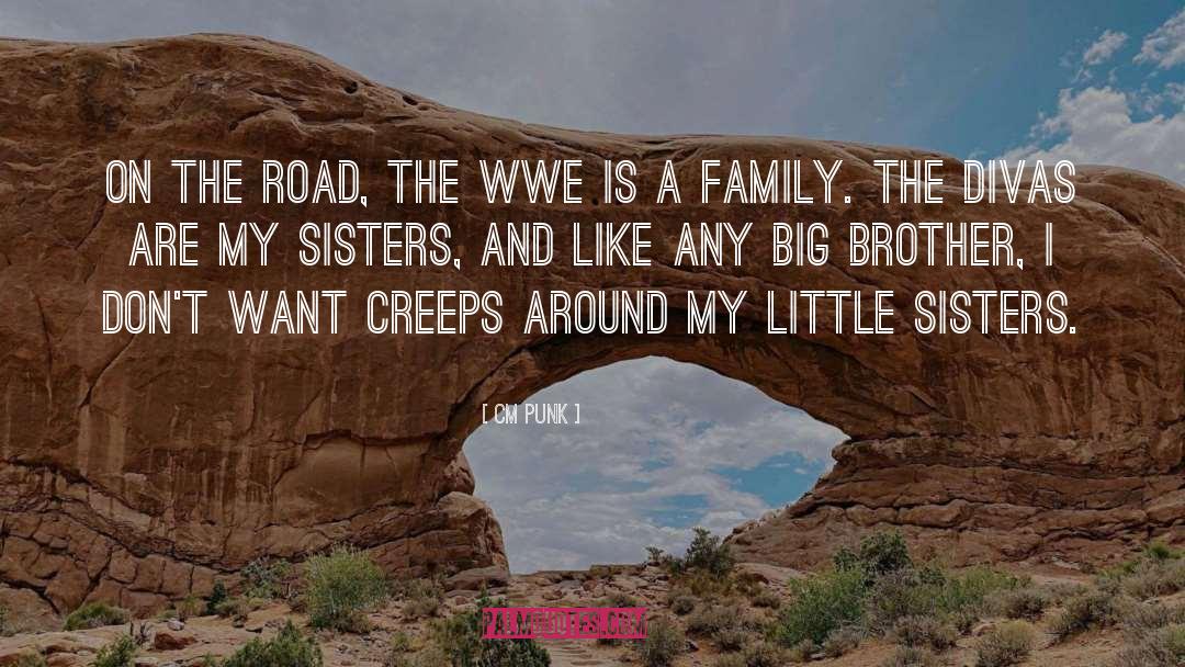 Cute Big Brother And Little Sister quotes by CM Punk