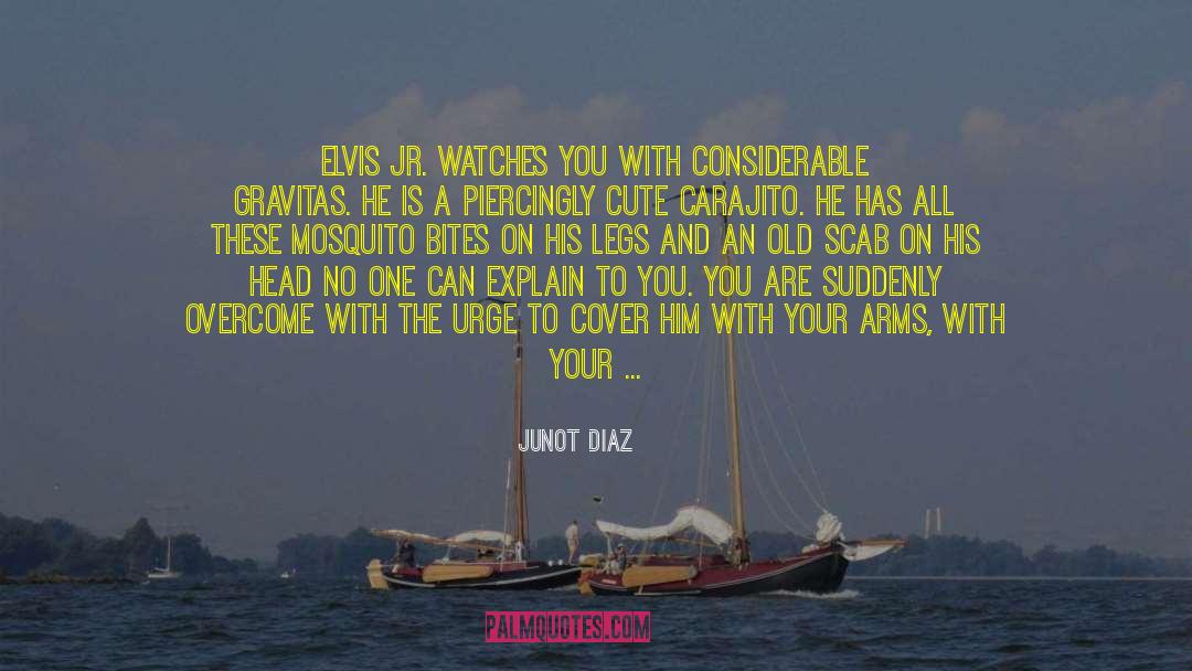 Cute Boyfriend quotes by Junot Diaz