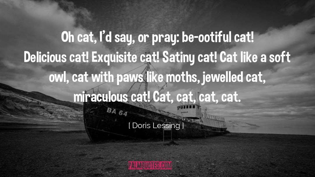 Cute Cat quotes by Doris Lessing