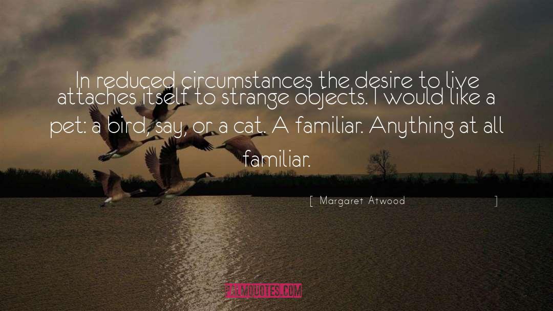 Cute Cat quotes by Margaret Atwood