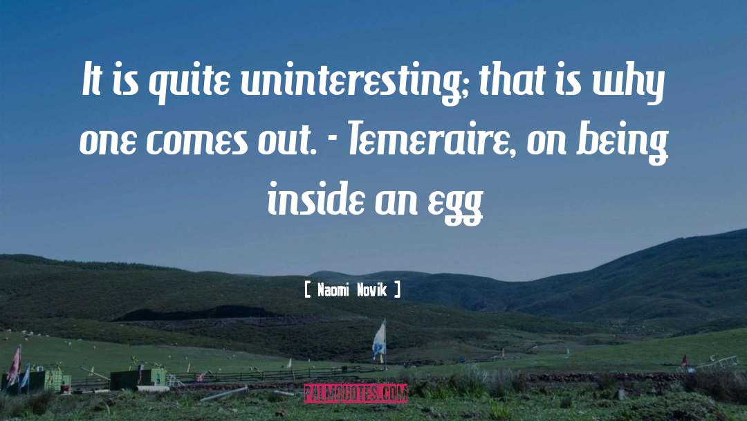 Cute Egg quotes by Naomi Novik