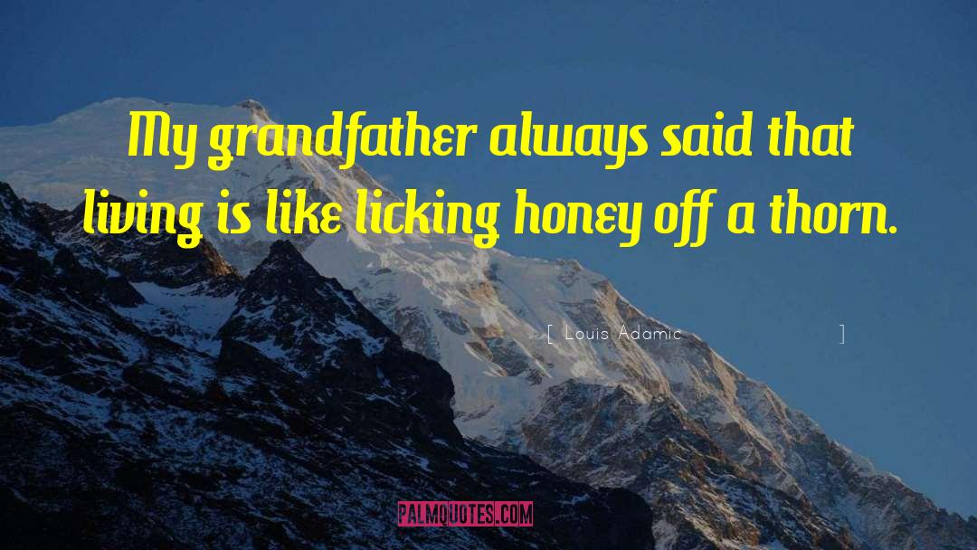 Cute Fathers Day quotes by Louis Adamic