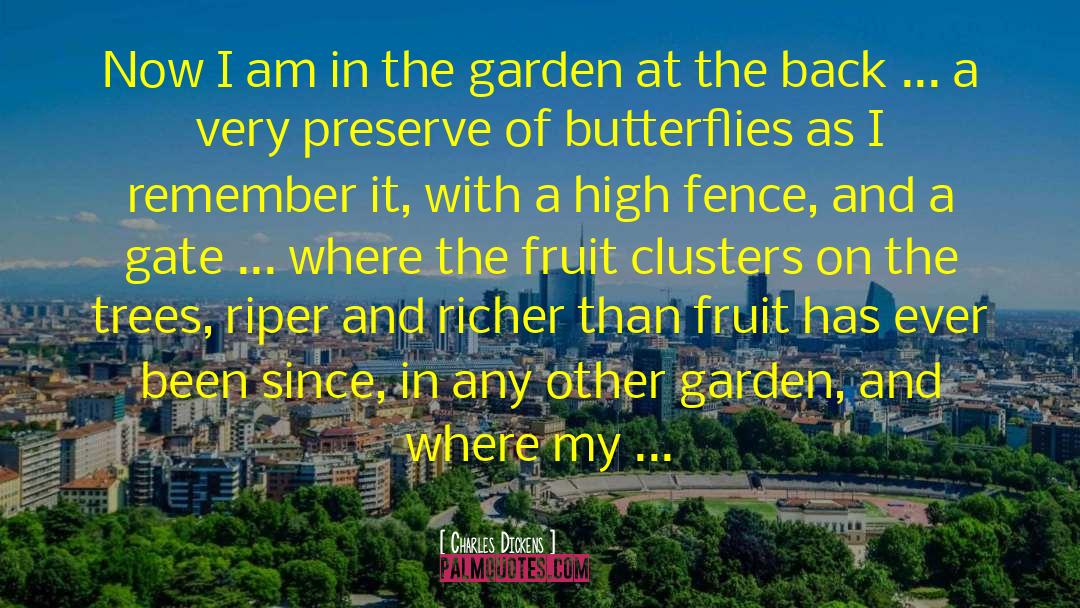Cute Fruit Basket quotes by Charles Dickens