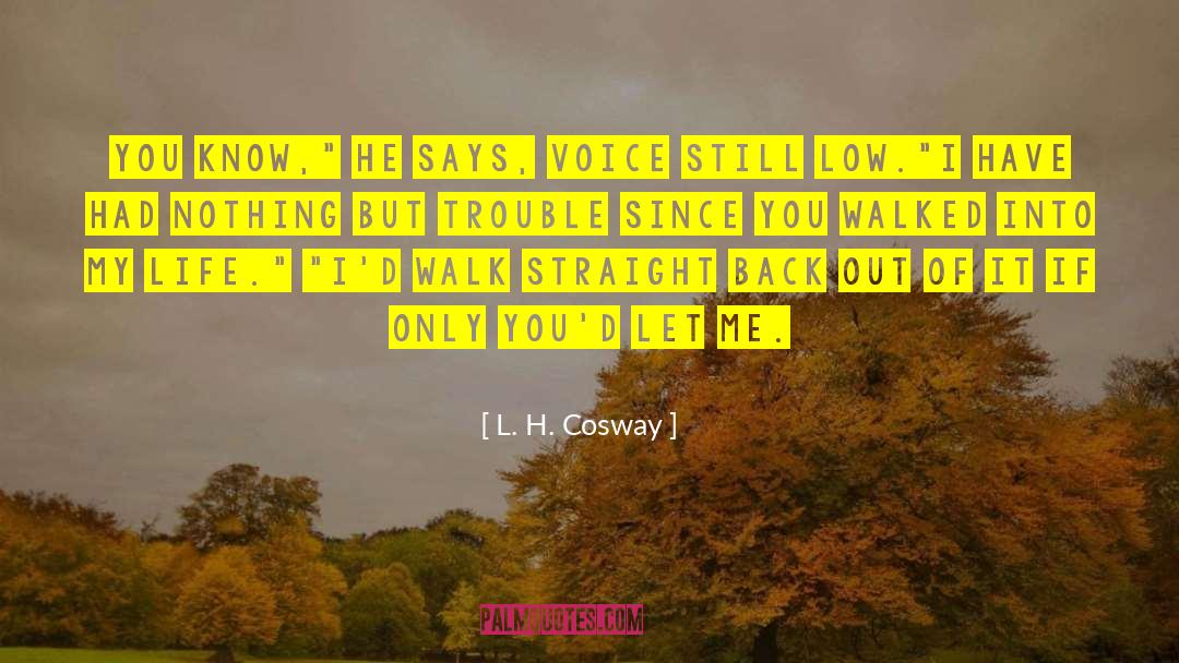 Cute Funny quotes by L. H. Cosway