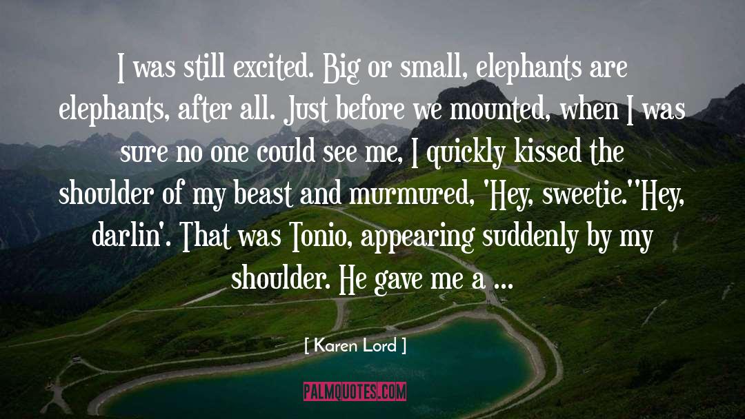 Cute Kiss quotes by Karen Lord