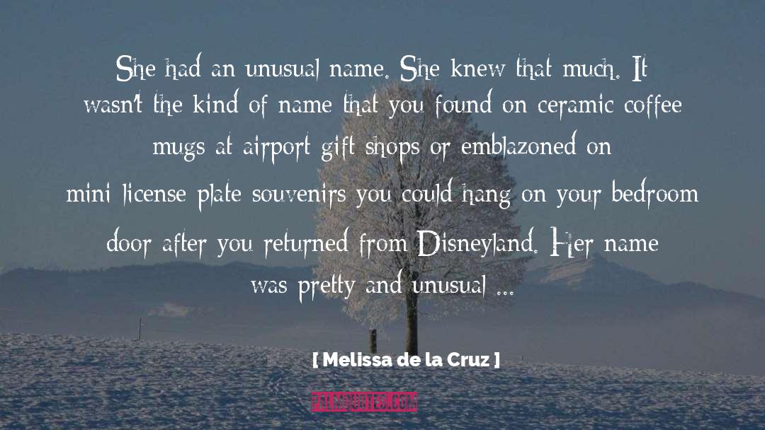 Cute License Plate quotes by Melissa De La Cruz