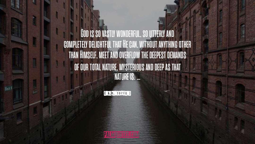 Cute Meet quotes by A.W. Tozer