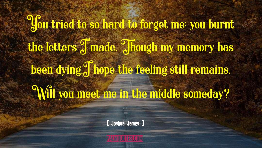 Cute Memory quotes by Joshua James