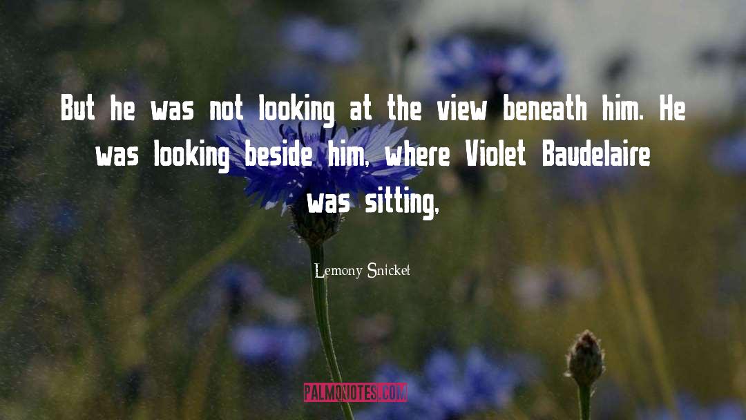 Cute Moments quotes by Lemony Snicket