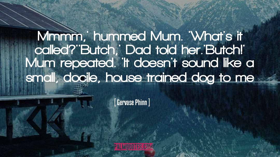 Cute Mum quotes by Gervase Phinn