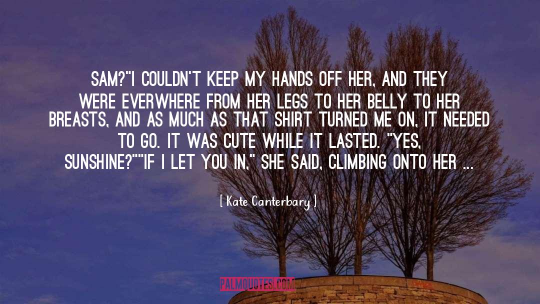 Cute Niceness quotes by Kate Canterbary