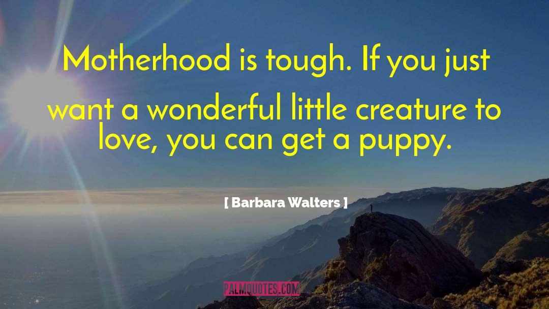 Cute Puppy quotes by Barbara Walters