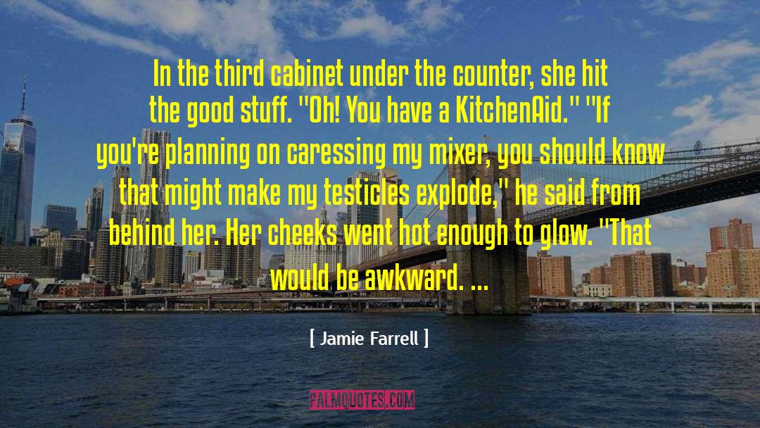 Cute Romance quotes by Jamie Farrell