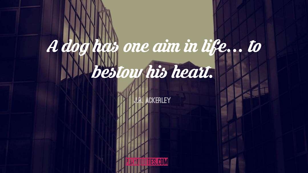Cute Stole My Heart quotes by J.R. Ackerley