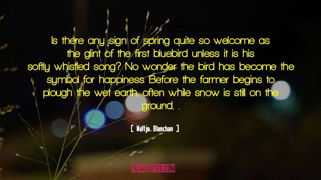 Cute Tweety Bird quotes by Neltje Blanchan