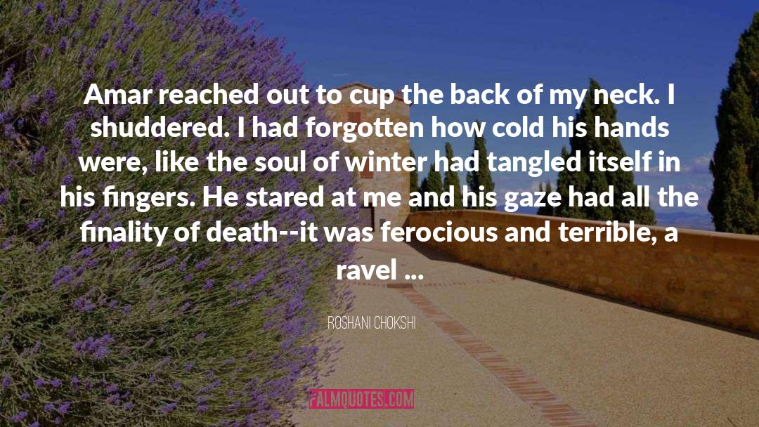 Cute Winter quotes by Roshani Chokshi