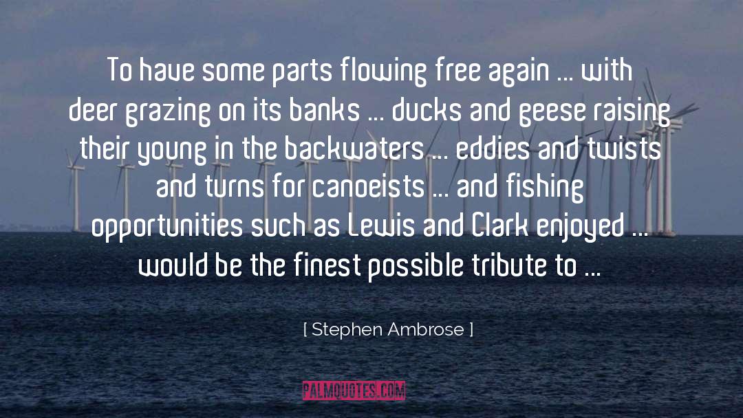 Cyanide Fishing quotes by Stephen Ambrose