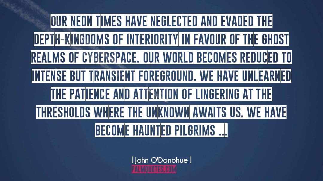 Cyberspace quotes by John O'Donohue