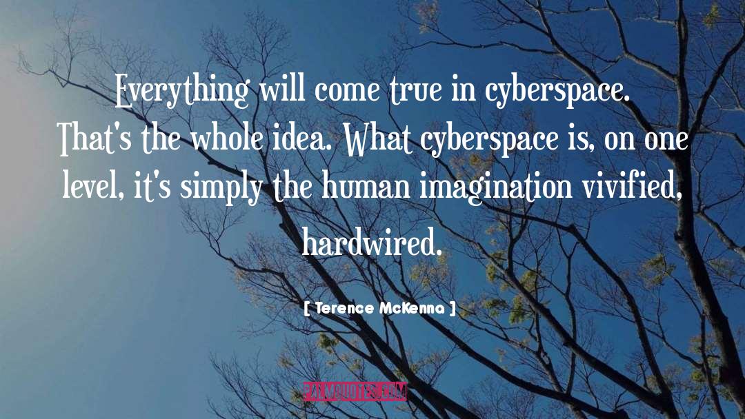 Cyberspace quotes by Terence McKenna