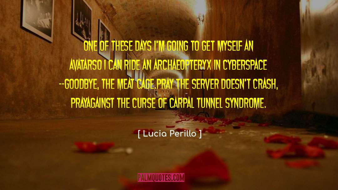 Cyberspace quotes by Lucia Perillo