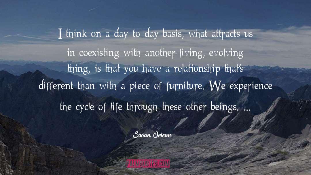Cycle Of Life quotes by Susan Orlean