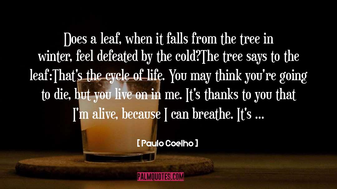 Cycle Of Life quotes by Paulo Coelho