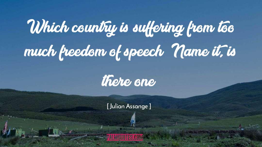 Cycle Of Suffering quotes by Julian Assange