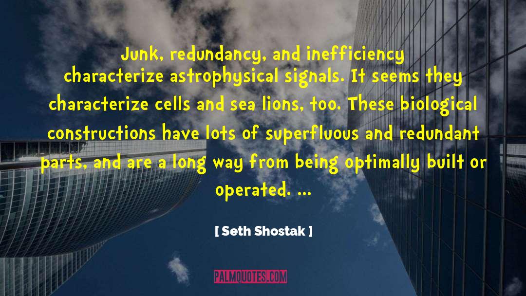 Cyclic Redundancy quotes by Seth Shostak
