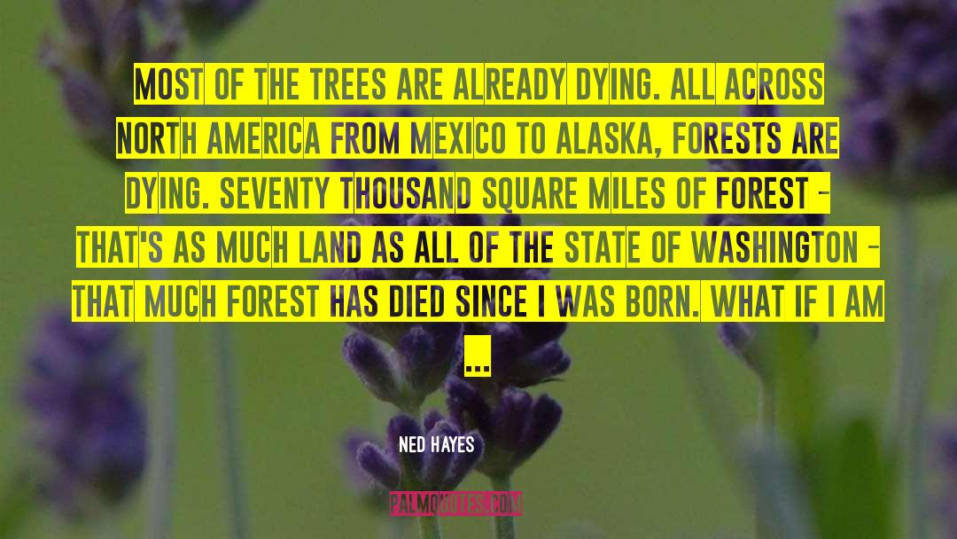 Cycling Across America quotes by Ned Hayes